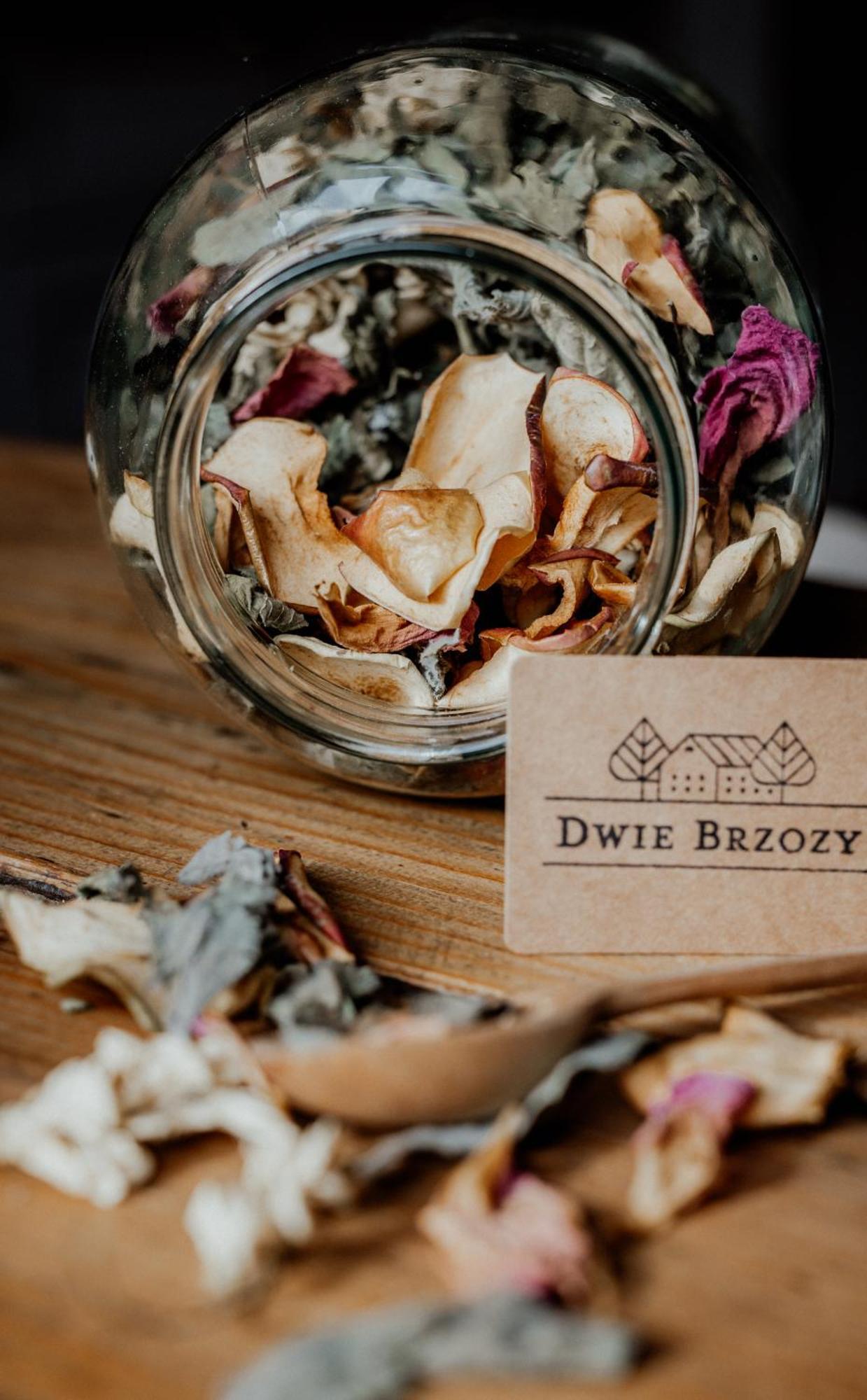 Dwie Brzozy wegetariańskie siedlisko Wlen Zewnętrze zdjęcie